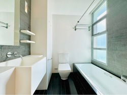 Park Infinia At Wee Nam (D11), Condominium #550212001